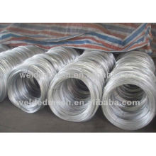 0.1-800 kgs Electro Galvanized Iron Wire